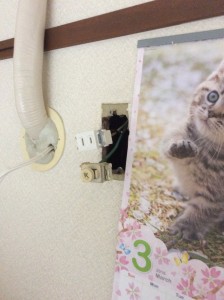 2018/12/7 漏電調査復旧作業