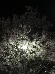 電気工事や電気修理、LED照明や電気自動車充電設備は当店へ、お気軽にご連絡ください!